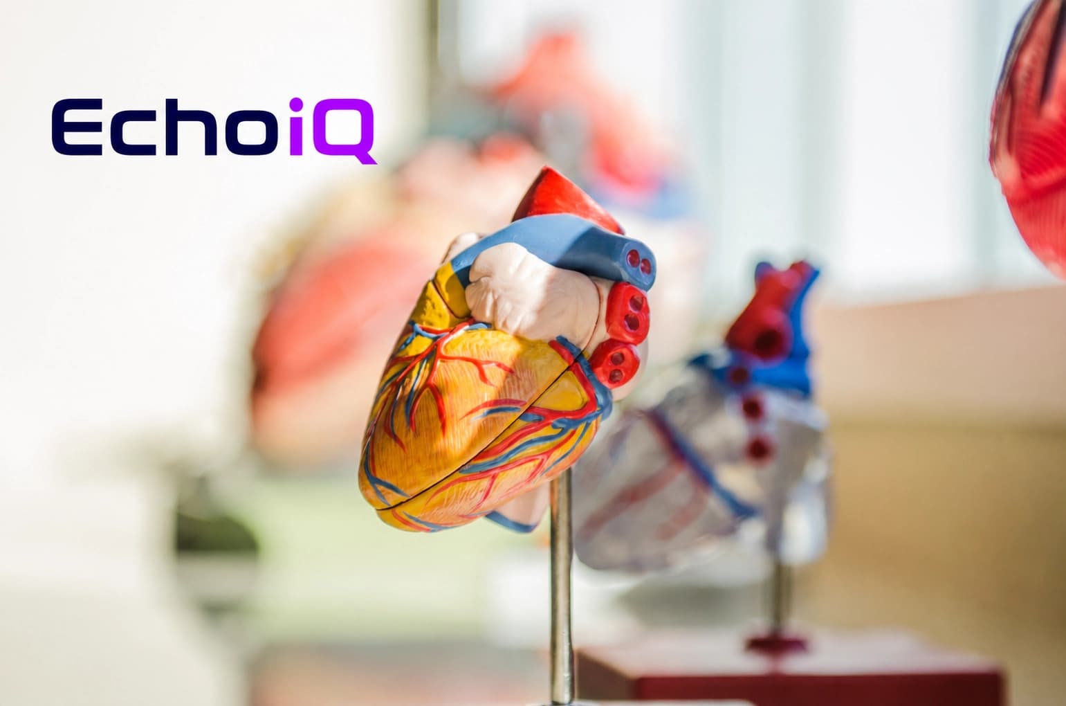 EchoIQ (ASX: EIQ)